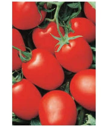 all natural tomato se.eds pack of 75