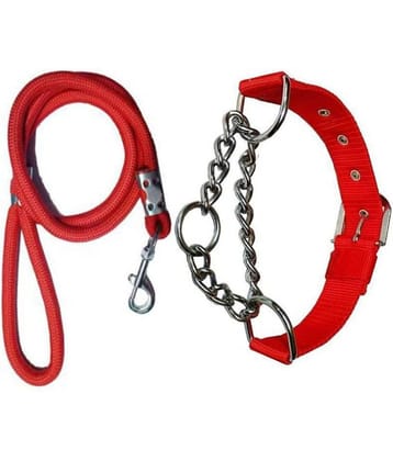 Smart Doggie - Multicolor Dog Collar (Small)