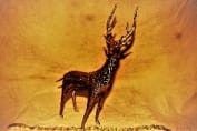 STANDING DEER