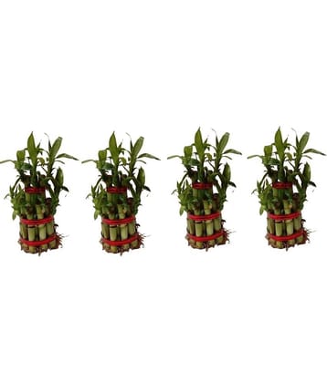 Green plant indoor - Green Wild Artificial Flowers With Pot ( Pack of 4 )