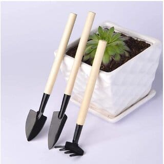 Mini Gardening Tools Kit  Set of 3 Pcs - (Shovel, Spade  Rake) with Wooden Handle for  Home  kitchen garden
