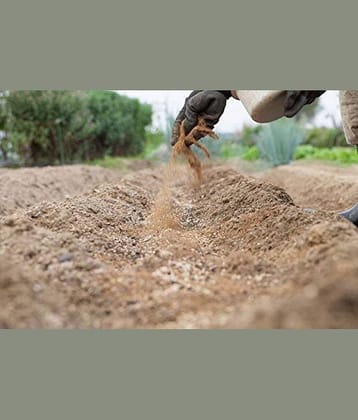 Bone Meal Powder Fertilizer for Plants - 1 Kg