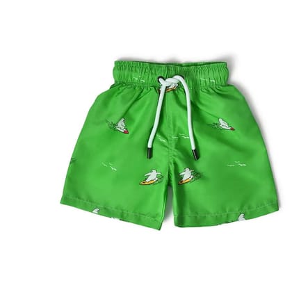 Boys Swimwear Shorts-2-3 Y / Green