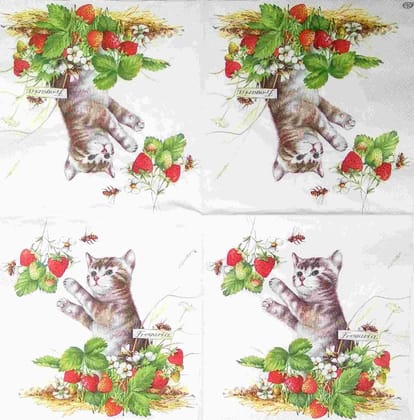 Decoupage Napkin / Tissue papers - GT1809