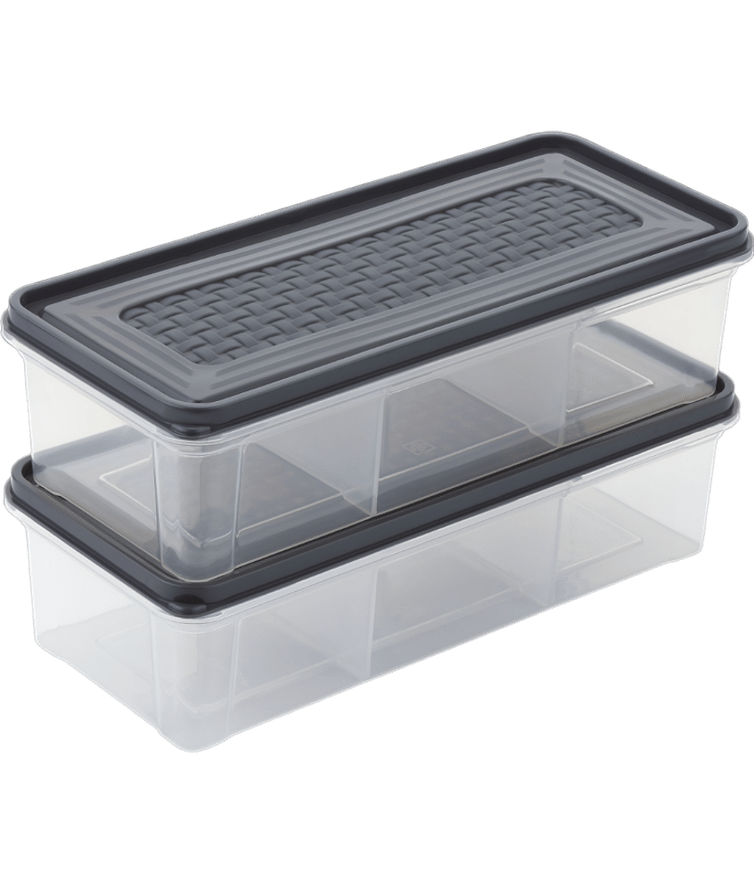 MAGICSPOON 3 Section Container Plastic Grey Multi-Purpose Container ( Set of 2 )