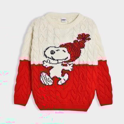 Peanuts™ Jolly Knitted Sweater-12-18 M / Multicolor