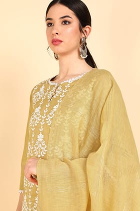 Khaki Poly Silk Embroidered Straight Suit Set PKSKD1345 Khaki Poly Silk Embroidered Straight Suit Set PKSKD1345