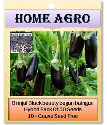 HN organic seed - Vegetable Seeds ( 50 )