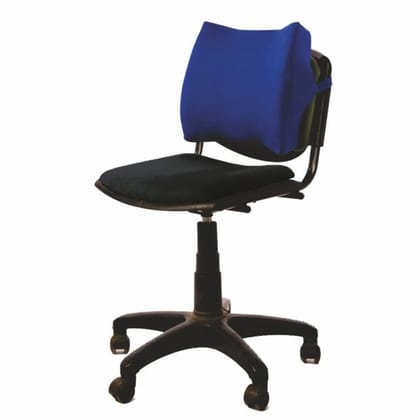 Vissco 0117 Orthopaedic Back Rest-Blue