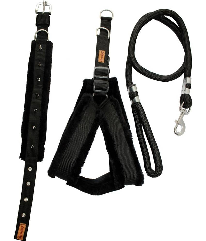 Petshop7 - Brown Dog Combo (Medium)