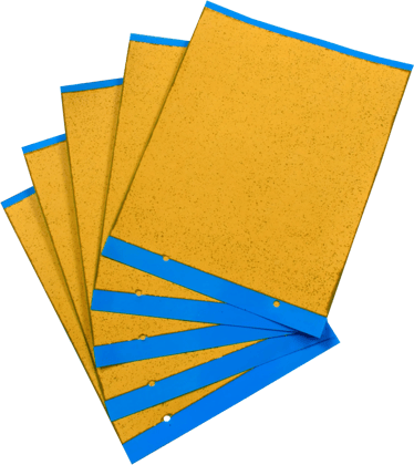 Sticky Trap (22×28 cm) Blue  by Palvi industries