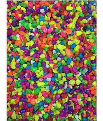 Afast Multicolor Pabbles/Stone For Garden, Plants, Aquarium & Home Decor Wt. 950g