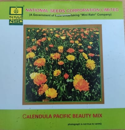 NSC Calendula Pacific Beauty Mix flower seed