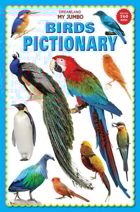my jumbo birds pictionary [Paperback] NA [Paperback] Dreamland Publications