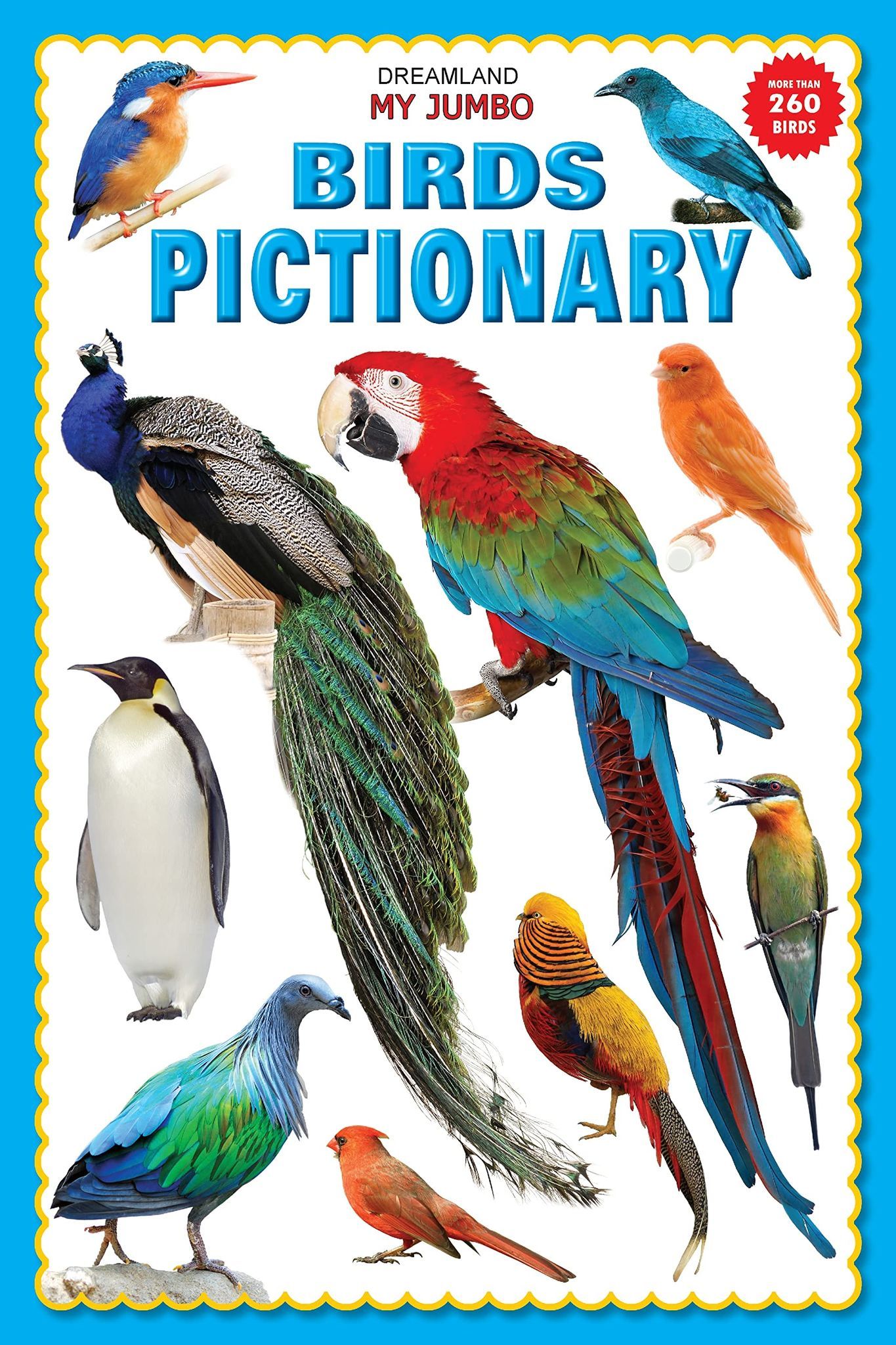 my jumbo birds pictionary [Paperback] NA [Paperback] Dreamland Publications
