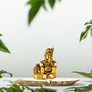 Holy Laddu Gopal Idol  Source of Love  Prosperity