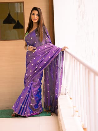 Floral Embroidered Tissue Saree