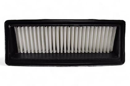 Uno Minda Air Filter AF4098PM