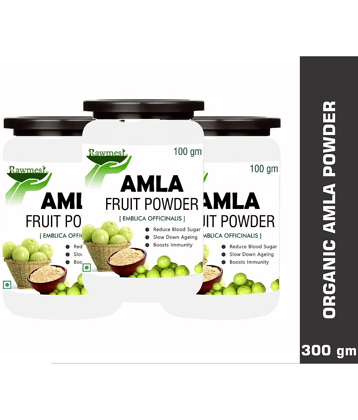 Rawmest Amla Fruit Powder 100 Gm Pack of 3
