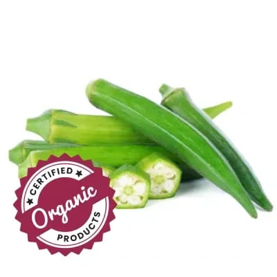 Organic Bhindi (Okra)