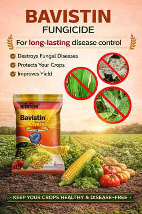 Bavistin 250 gm  (Systemic Fungicide Carbendazim 50% WP)