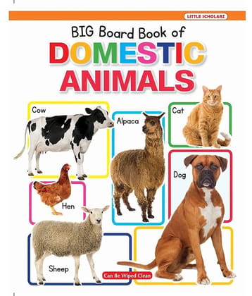 New Big Board Book Of Domestic Animals