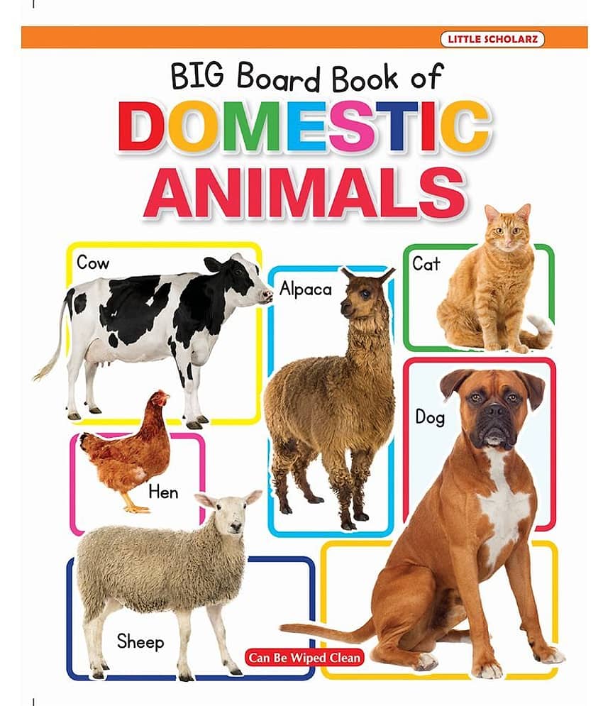 New Big Board Book Of Domestic Animals