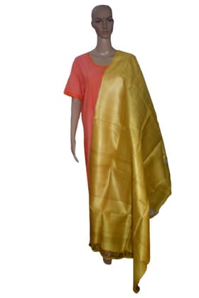 Pure organic Tussar Silk Dupatta Pure organic Tussar Silk Dupatta