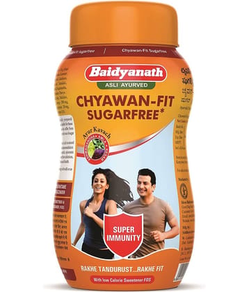 Baidyanath Chyawan-Fit Sugarfree Chyawanparsh Paste 500 Gm Pack of 1