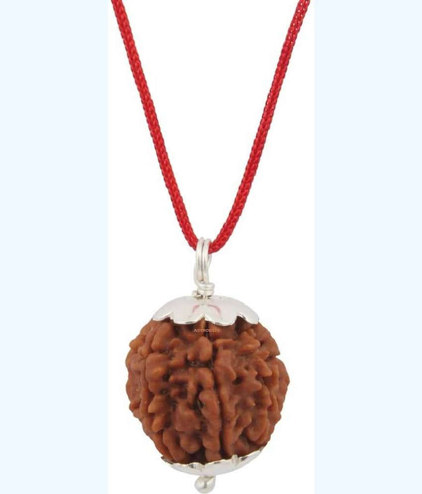 Astrodidi 6 Mukhi Rudraksha Pendant With Lab Certificate