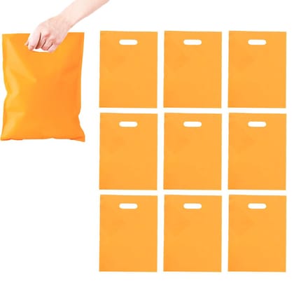 Loot Bags Pastel Orange Color - 10PC