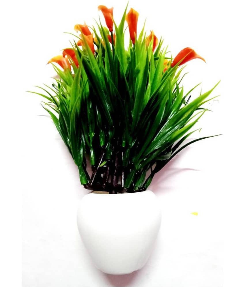 Green plant indoor Wild Flower Orange Flowers With Pot - Pack of 1