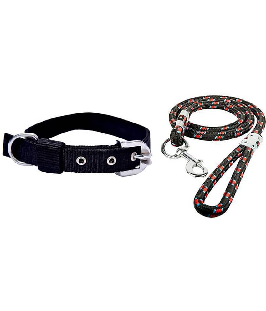 Tame Love - Multicolor Dog Combo (Large)