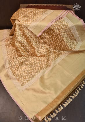 Beige and Gold Trellis Jaal Kora Tissue Banarasi saree | SILK MARK CERTIFIED