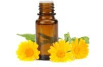 Calendula Hydrosol Extract