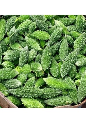 Bitter Gourd - 1 kg