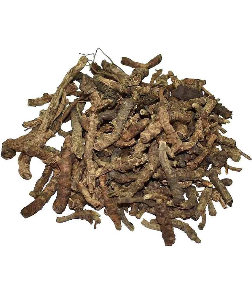 Nutrixia Food Kutki Titka Kul – Kutki – katuka – Kutka – Picrorhiza Kurroa Kutaki  50 gm