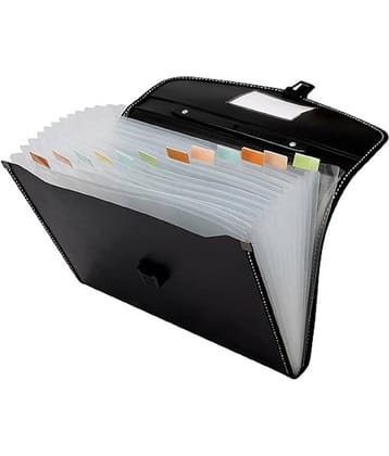 SHB Green Expandable File ( Pack of 1 )