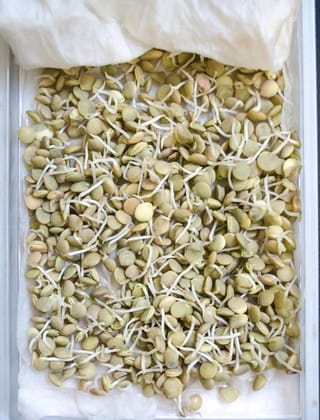 Birda Sprout / Barda Ankurit - 250gm