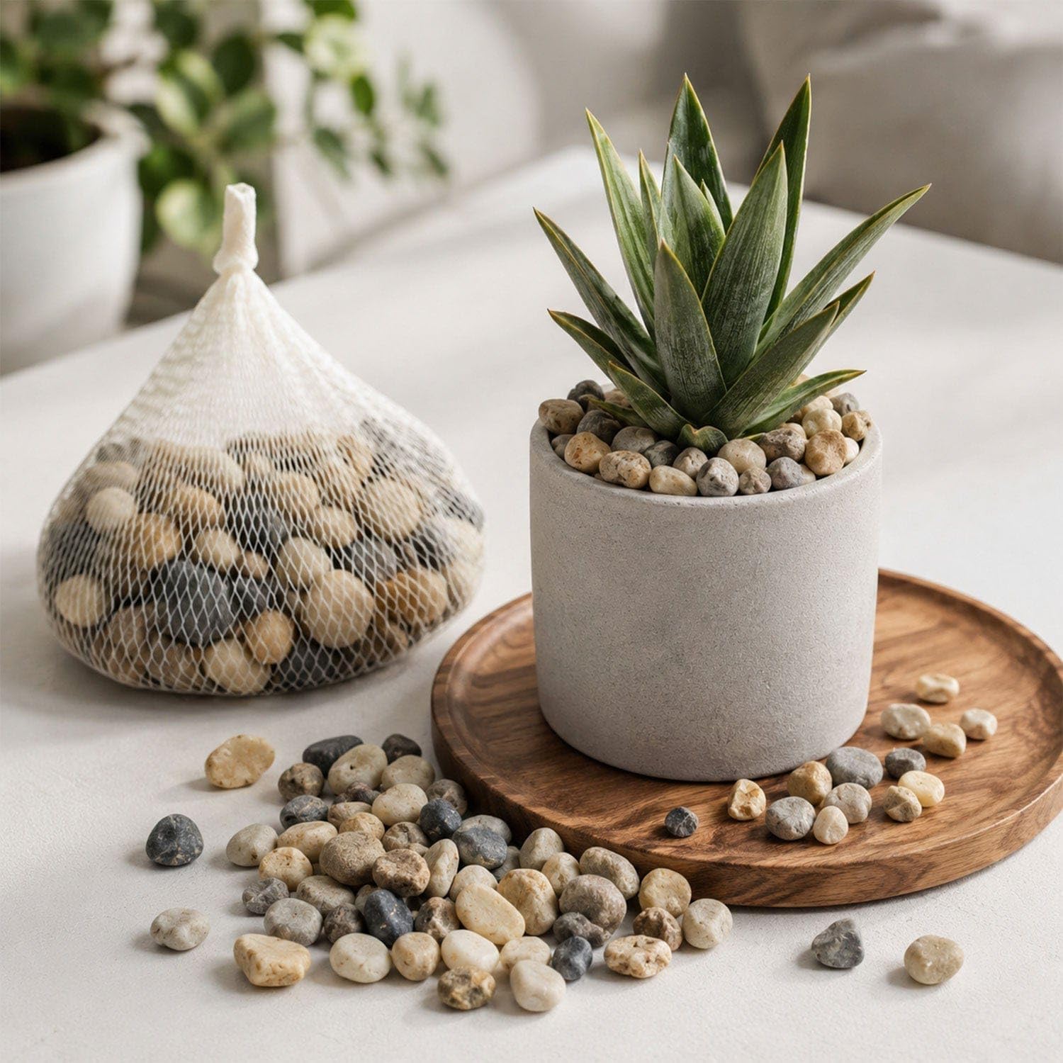 Natural Pebbles for Vase Filler, Pots, Fish Tank or Aquarium (500 Grams)