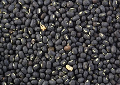 BLACK GRAM 500 G