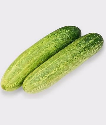 Jignisha Seeds Organic Kakdi Vegetable ( 50 Seeds )