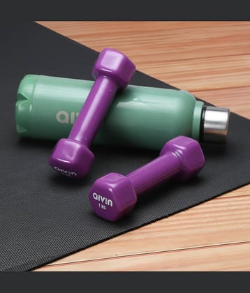 Aivin Iron 1 Kg Fixed Hex Dumbbell