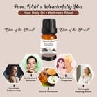 ... ...