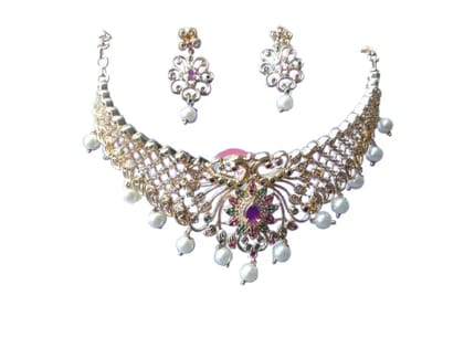 Elegant Choker Necklace and Earring Set