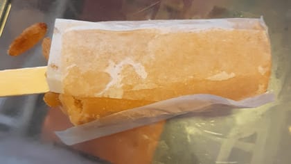 Dry Fruit Kulfi