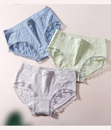 Flenzy Pack of 3 Nylon Hipster For Women ( Multicolor7 )