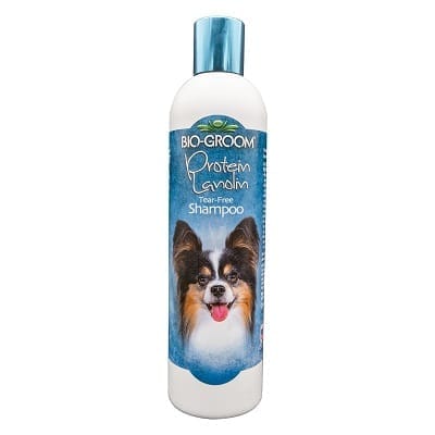 Protien Lanolin Tear Free Shampoo 350ml
