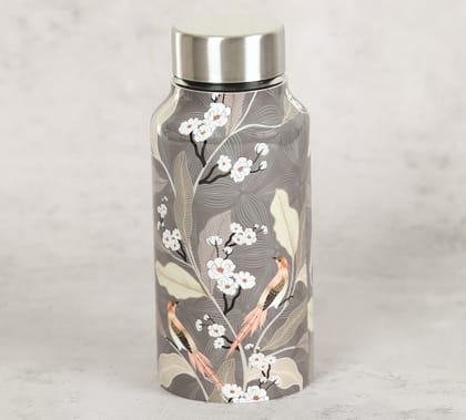 India Circus Bird Land Paradise Small Steel Bottle