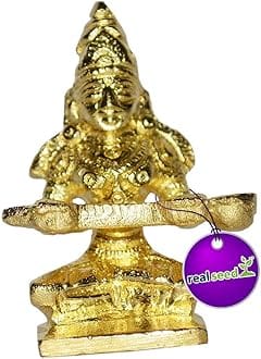 REAL SEED Goddess Annapurna Devi (Goddess of Food) with Fine Carving Made in Brass Metal